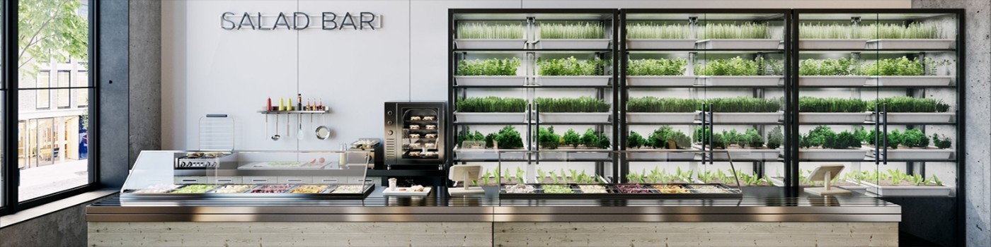 Salad bar with built-in hydroponic gardens