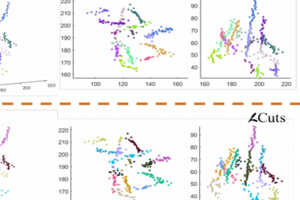 LCuts: Linear Clustering of Bacteria using Recursive Graph Cuts